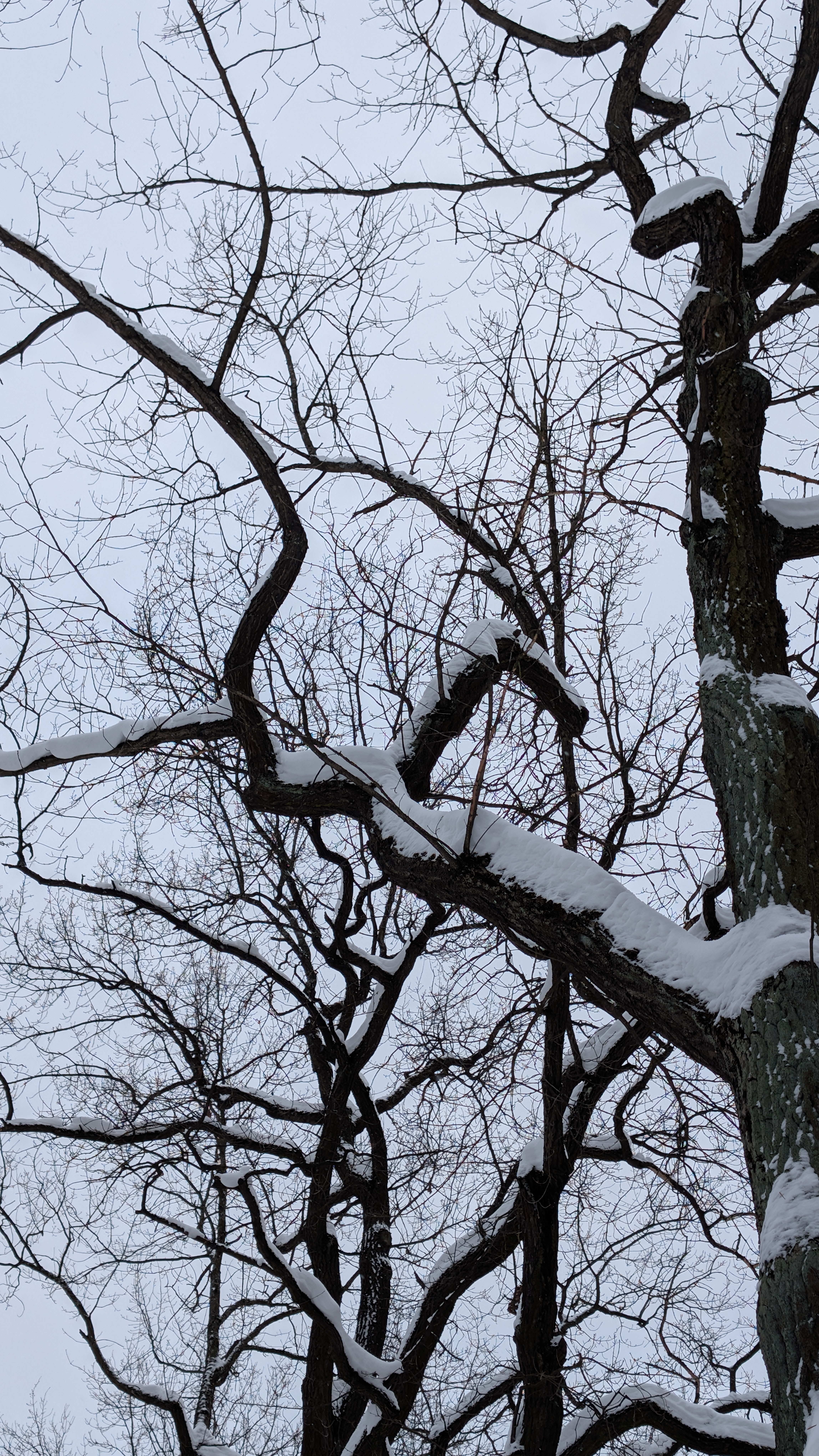 Описание изображения