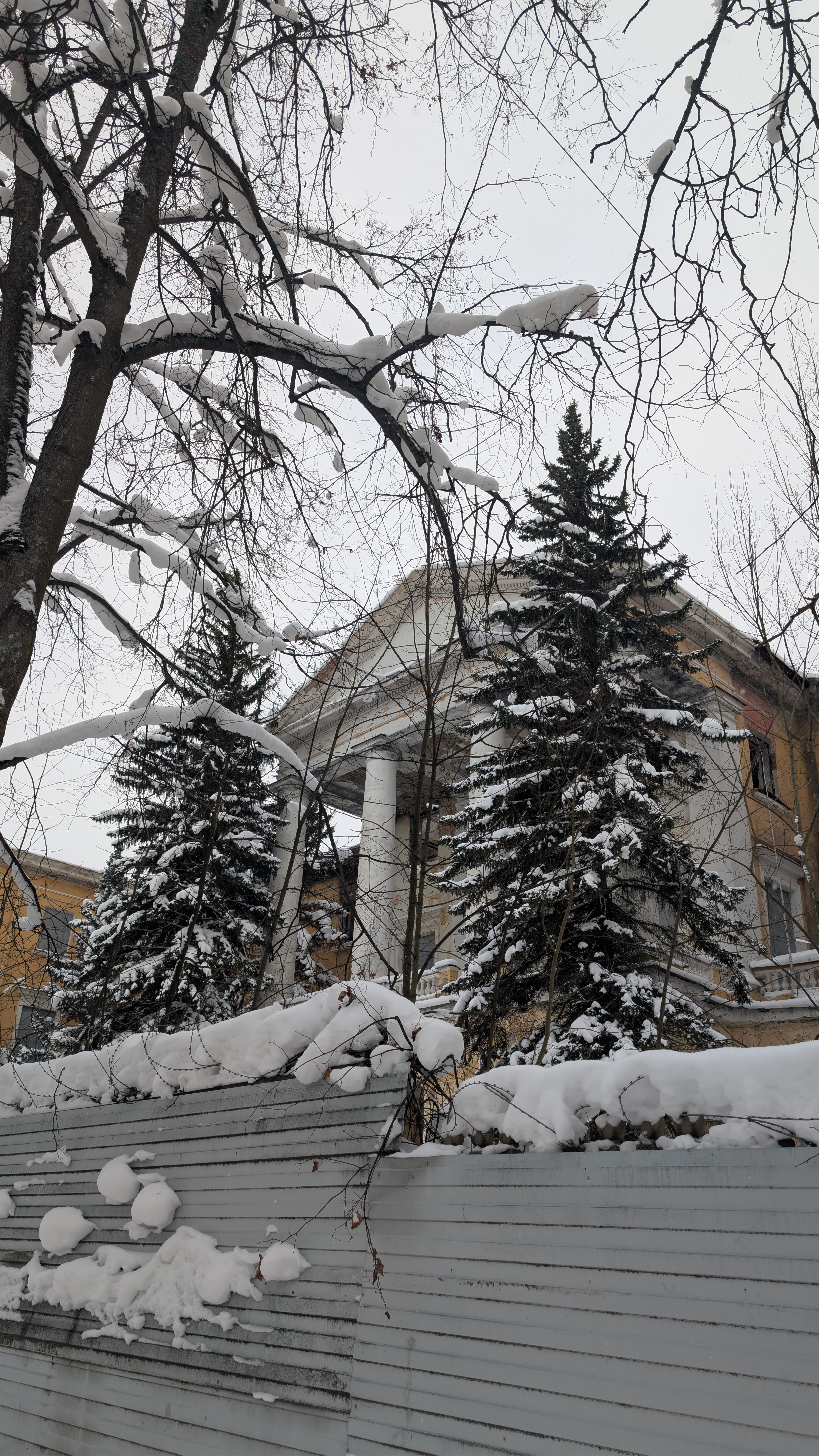 Описание изображения