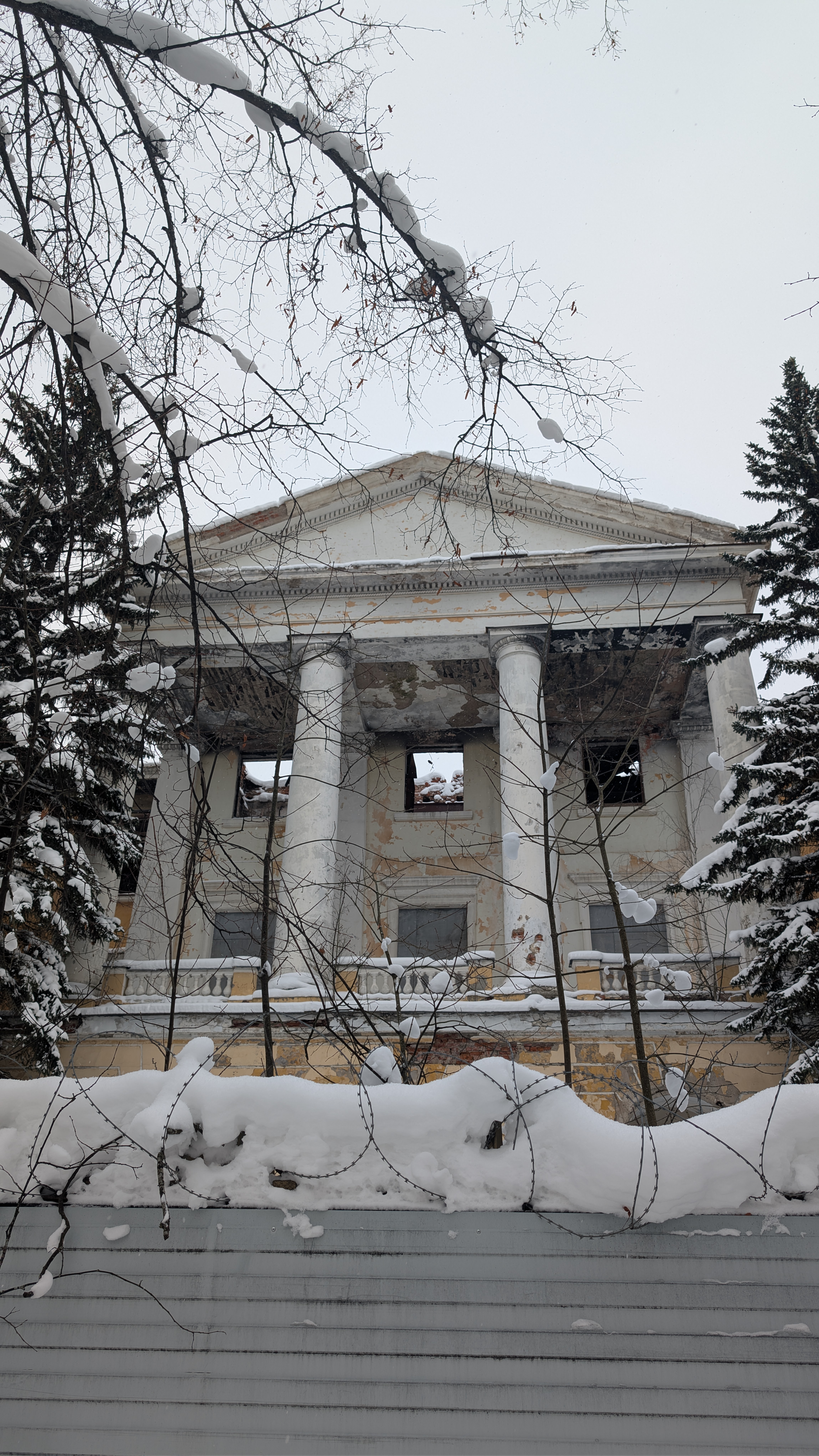 Описание изображения