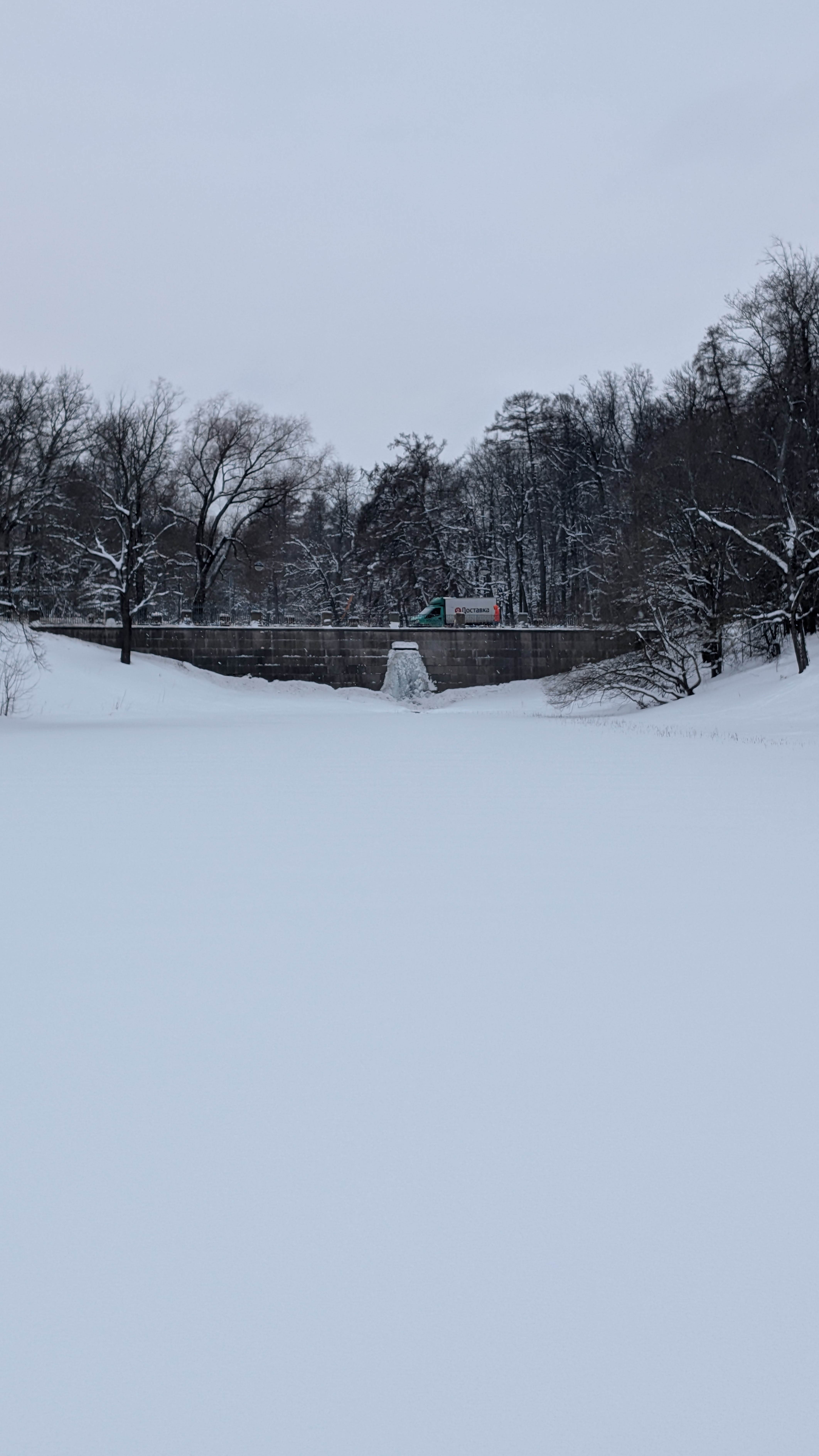 Описание изображения