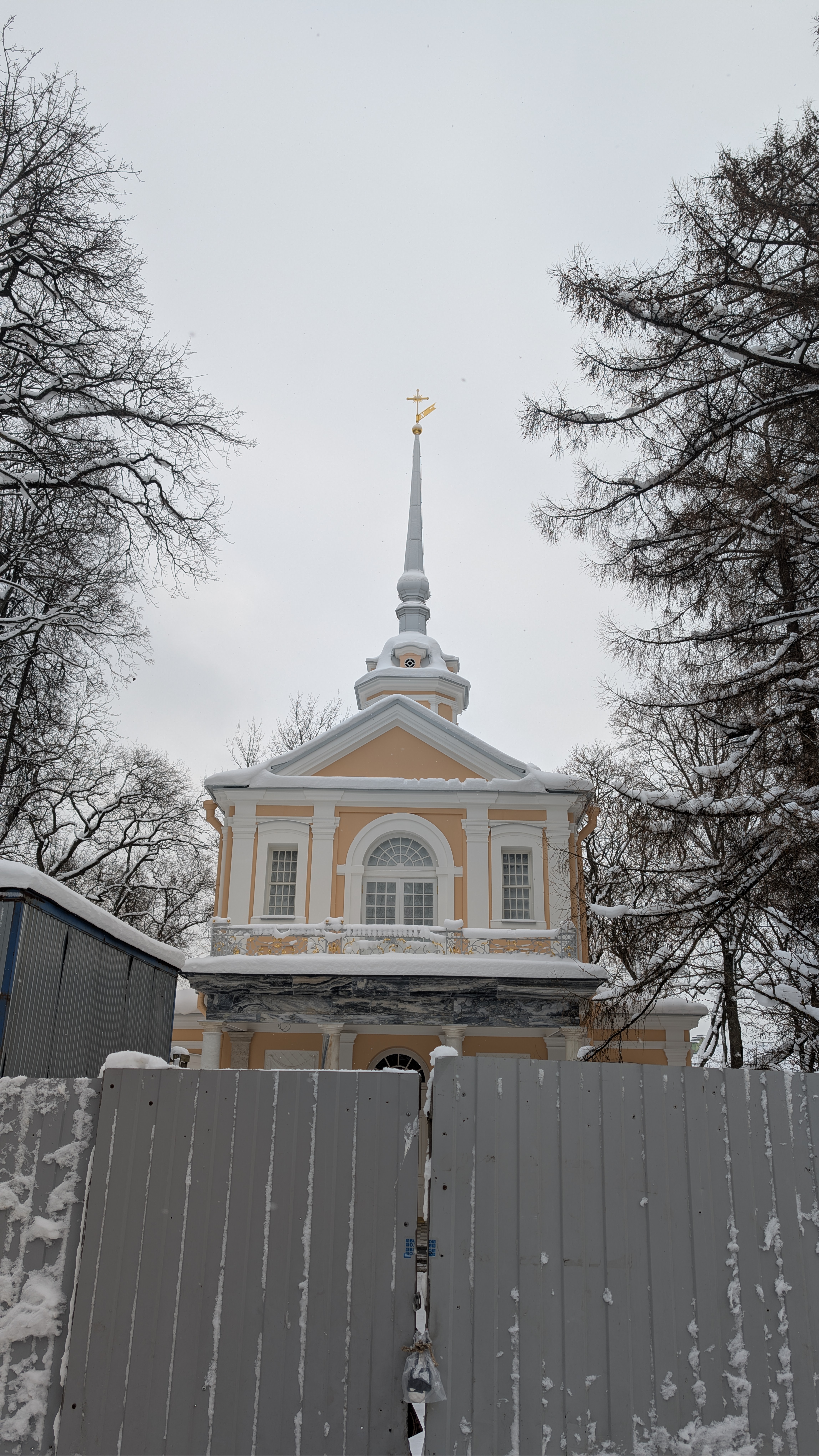 Описание изображения