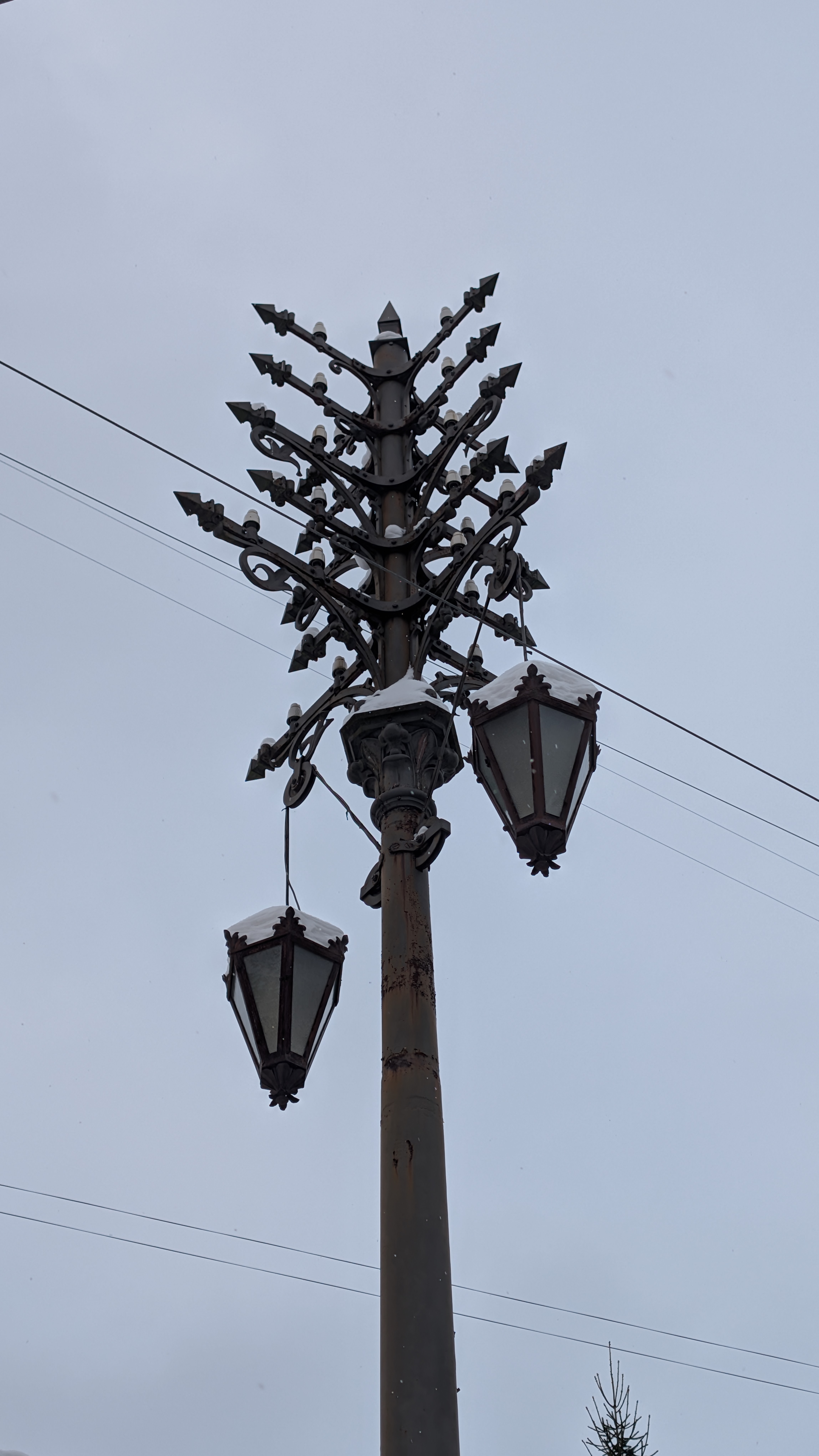 Описание изображения