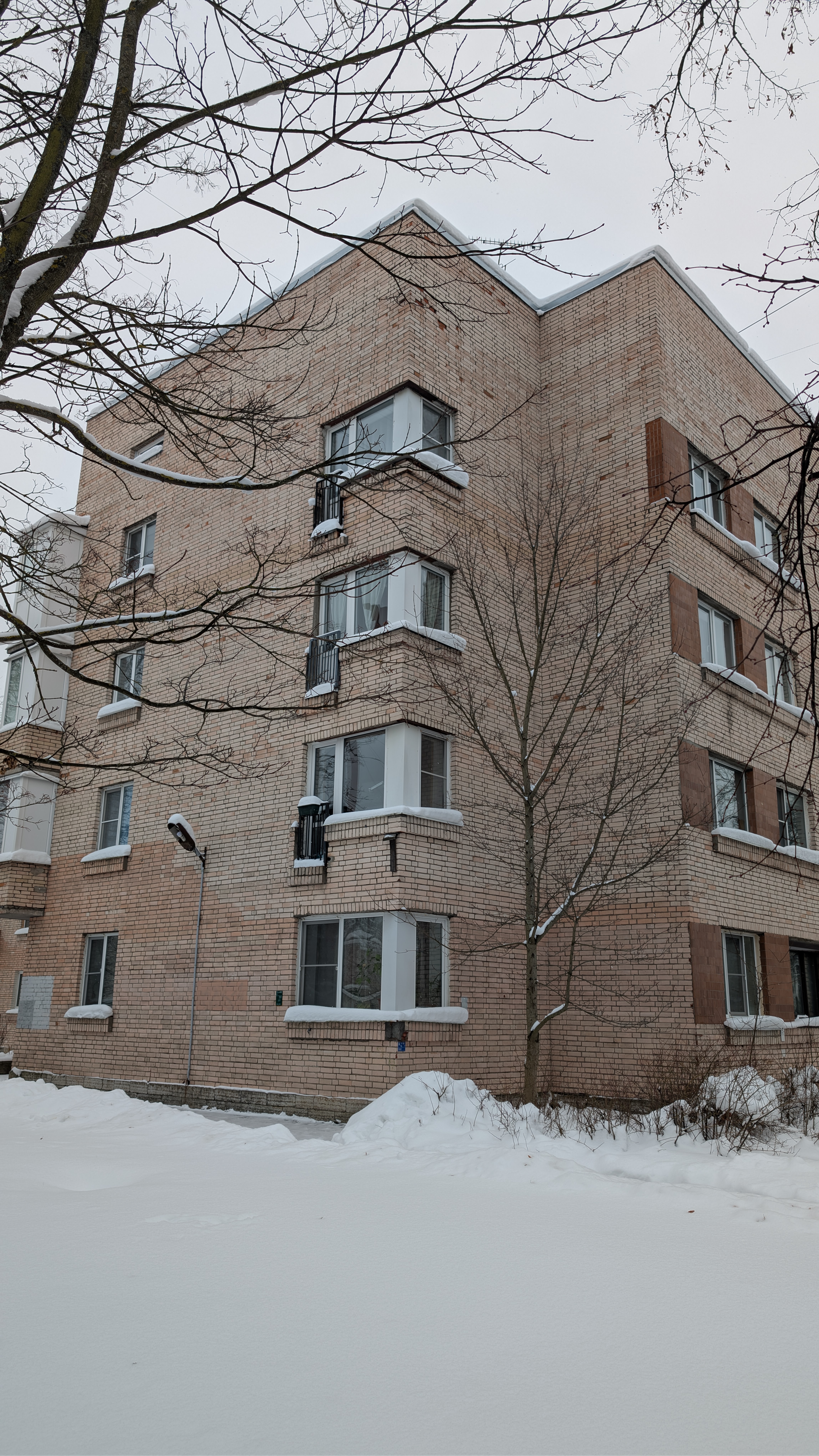 Описание изображения