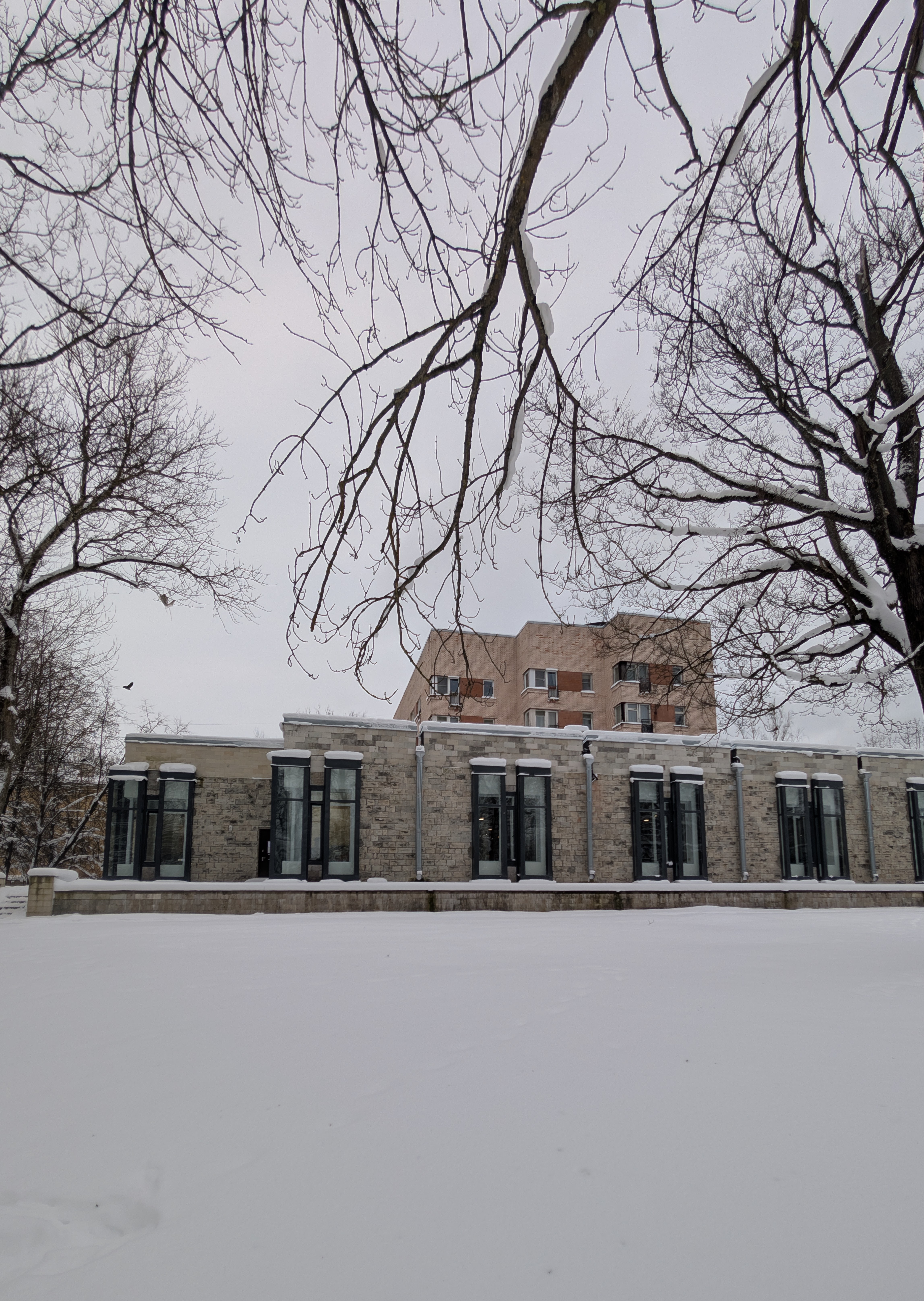 Описание изображения