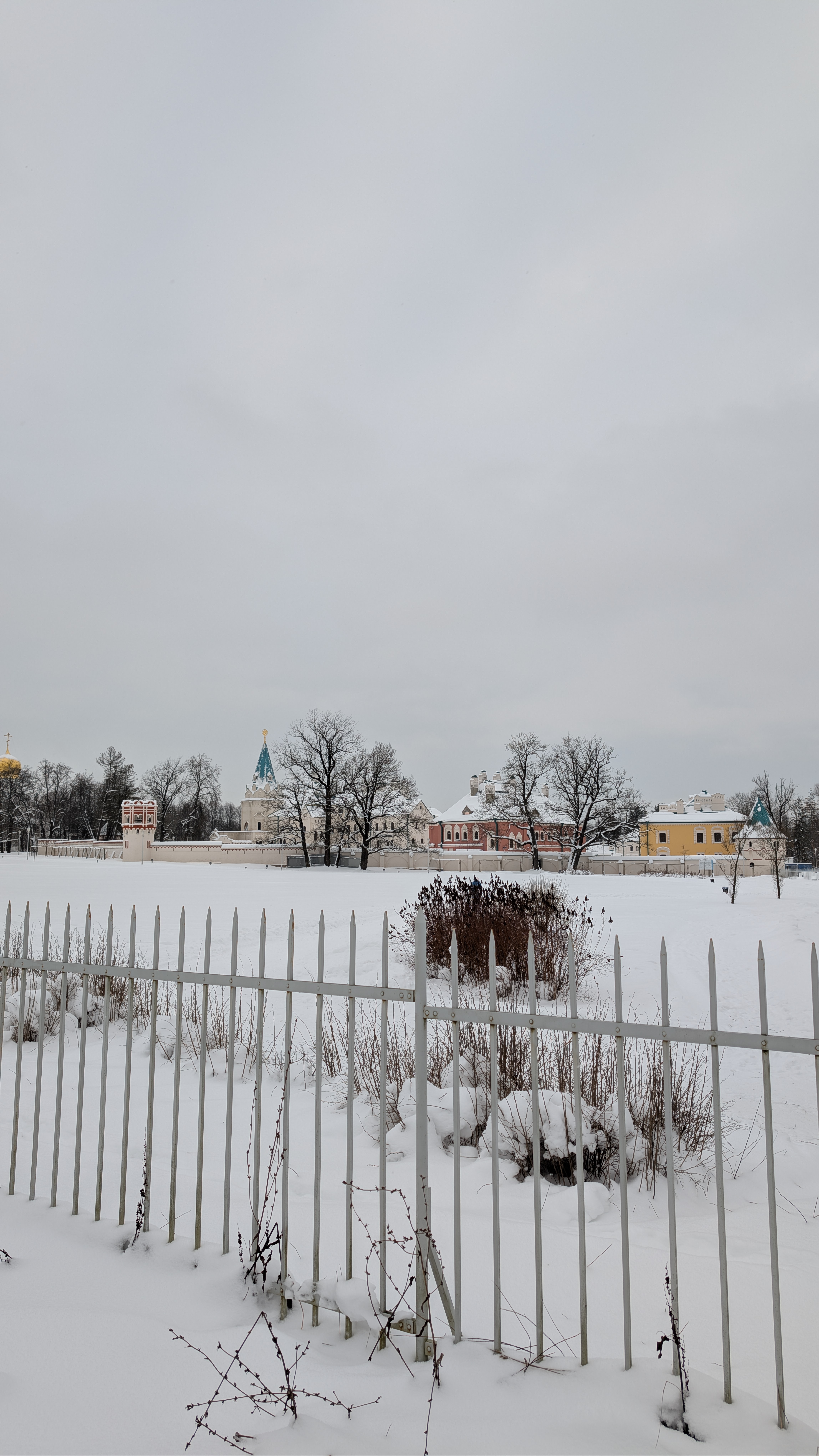 Описание изображения