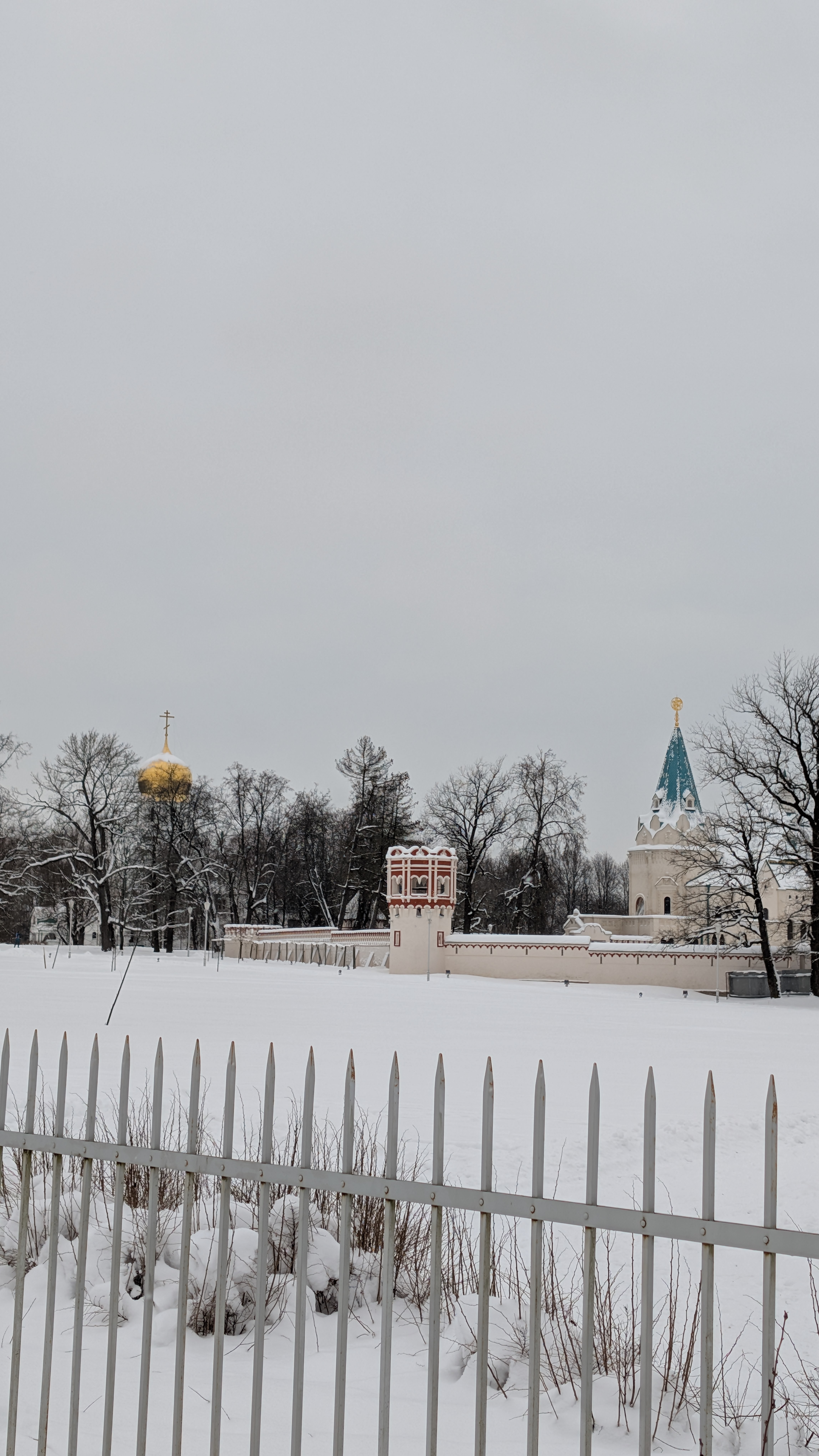 Описание изображения