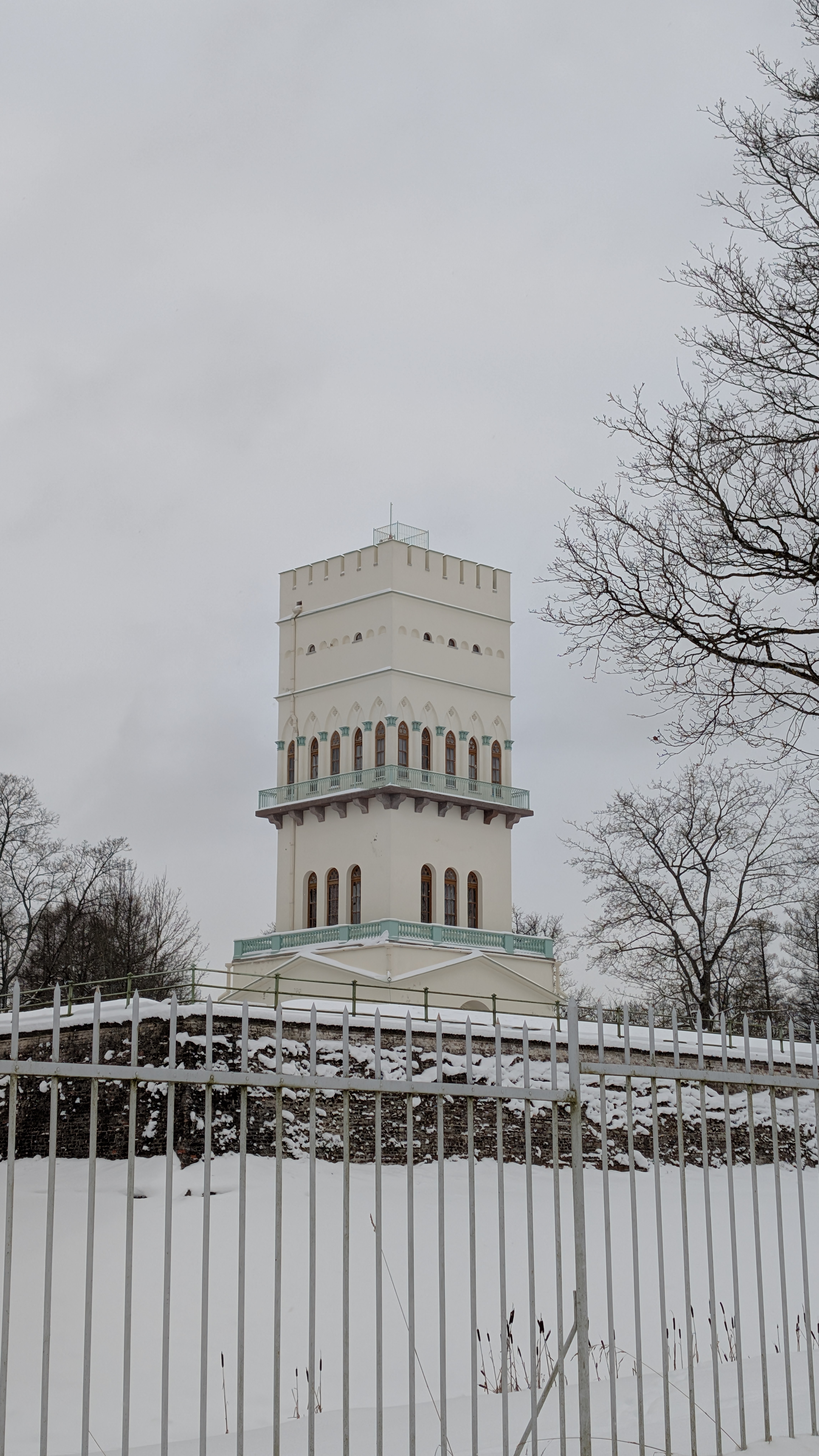 Описание изображения