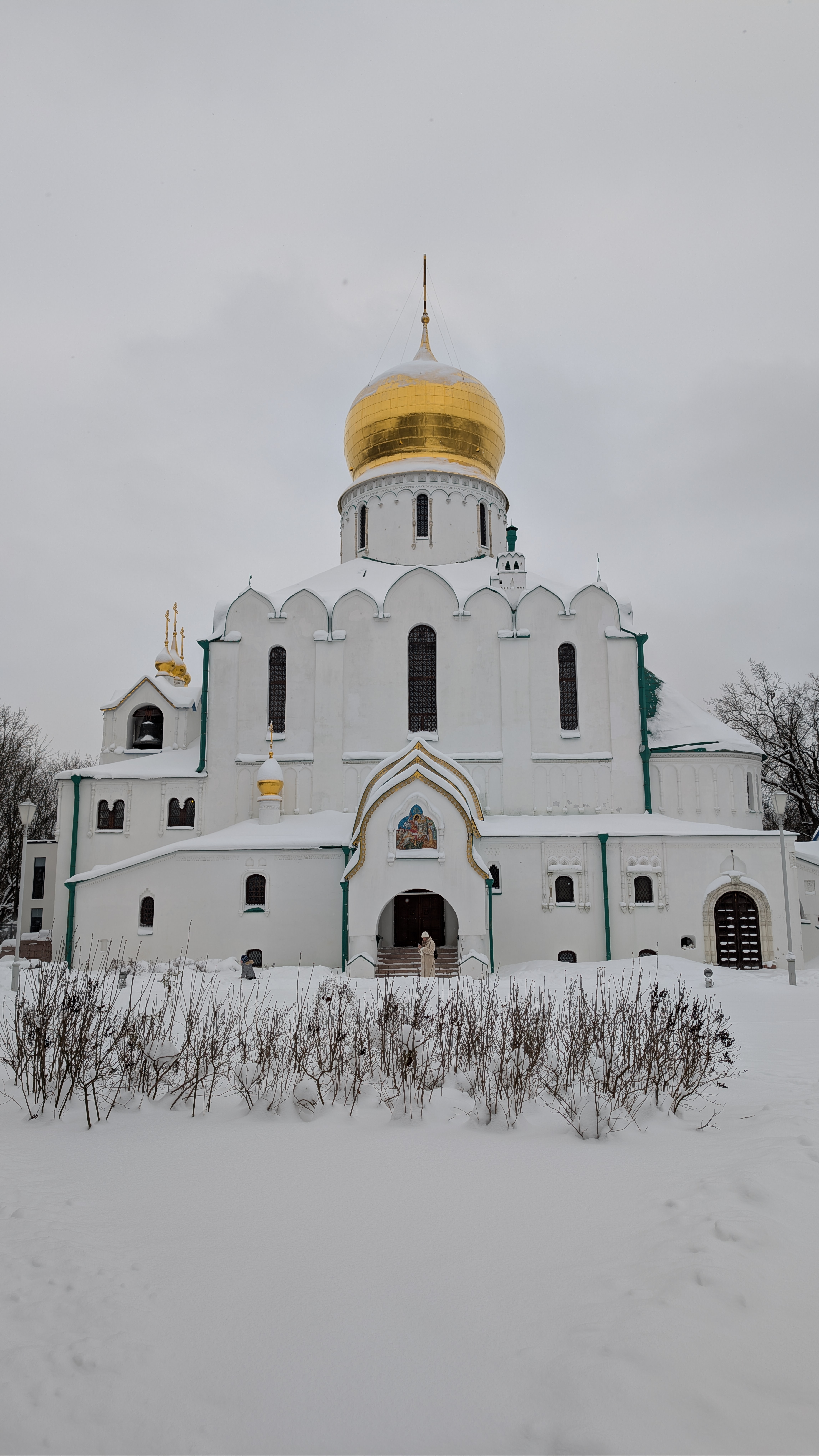 Описание изображения