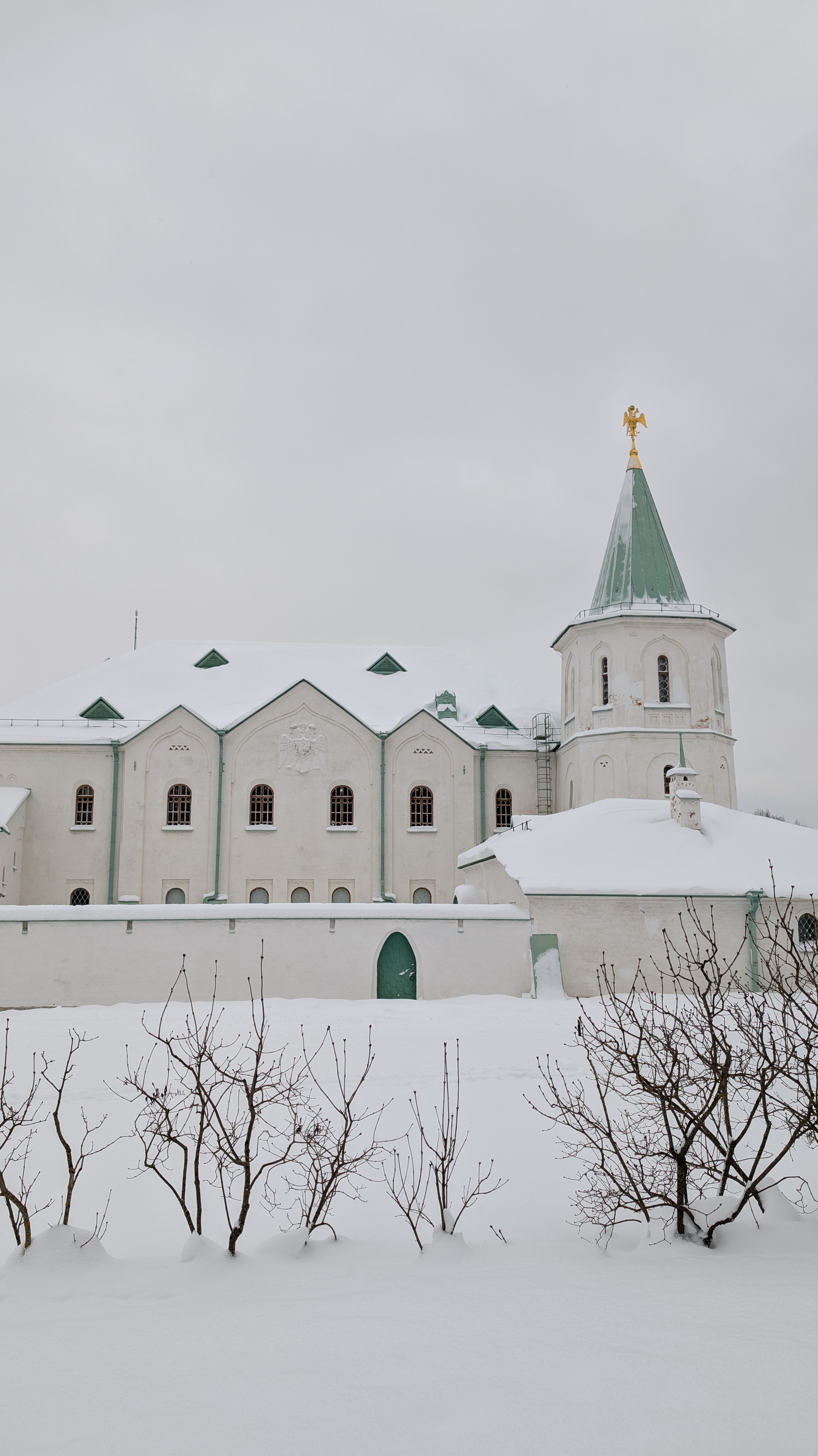 Описание изображения